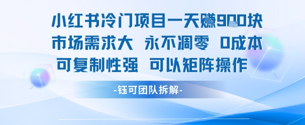 小红书冷门项目一天收益9张，市场需求大，0成本，可复制性强可以矩阵操作-月亮湾网创资源站