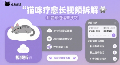 猫咪疗愈长视频拆解 &油管频道运营技巧-月亮湾网创资源站