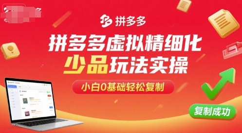 拼多多虚拟精细化少品玩法实操，小白0基础轻松复制-月亮湾网创资源站