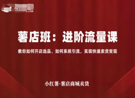 小红薯薯店商城卖货，进阶流量课，教你如何开店选品、如何系统引流，实现快速卖货变现-月亮湾网创资源站
