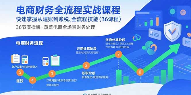 电商财务全流程实战课程：快速掌握从建账到报税的全流程技能(36节课-月亮湾网创资源站