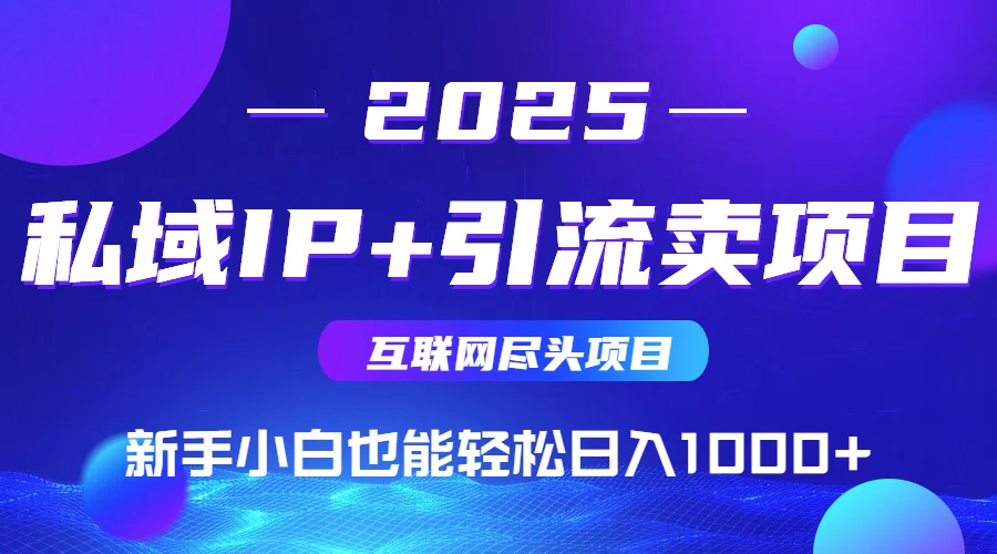 2025网创尽头项目，私域IP+引流，新手小白也能在家日入1000+-月亮湾网创资源站