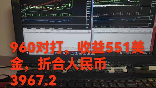 图片[1]-稳定8年的美刀搬砖项目，单人每日收益800—3000.团队4人月入10W+.可线下-月亮湾网创资源站