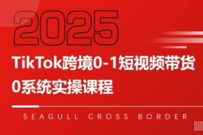 TikTok跨境0-1短视频带货，系统拆解TikTok跨境带货全链路，实现跨境可持续盈利-月亮湾网创资源站