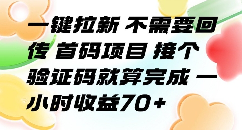 一键拉新 不需要回传 首码项目 接个验证码就算完成 一小时收益70+【揭秘】-月亮湾网创资源站